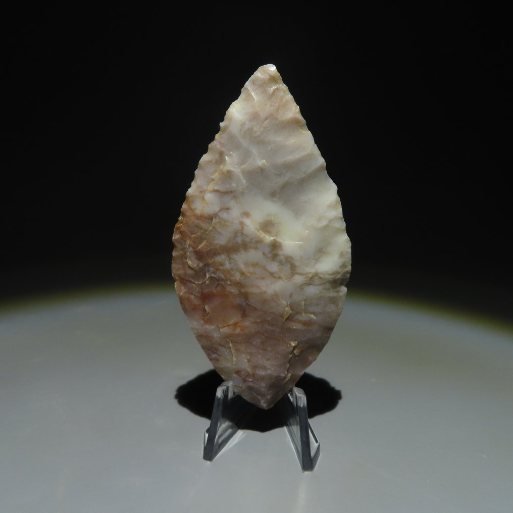 Neolithisch Steen Hulpmiddel. 3000-2000 v.Chr. 7,3 cm L.  (Zonder Minimumprijs) #1.1