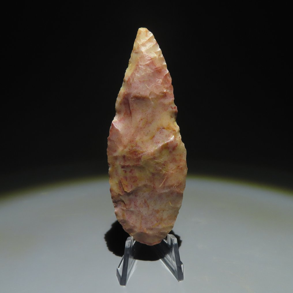Neolittisk Stein Verktøy. 3000-2000 f.Kr. 8,3 cm L.  (Ingen reservasjonspris) #2.1