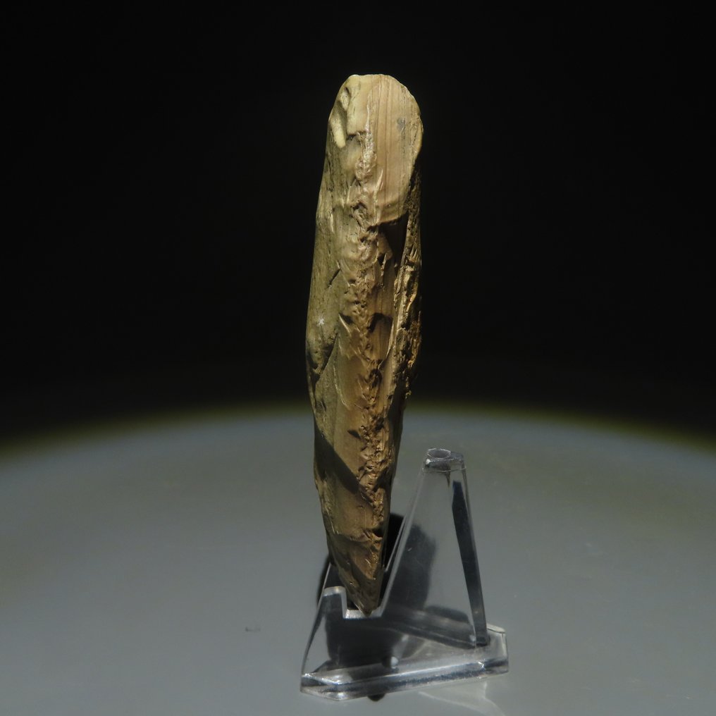 Neolithischen Stein Werkzeug. 3000–2000 v. Chr. 8,3 cm L. #2.1