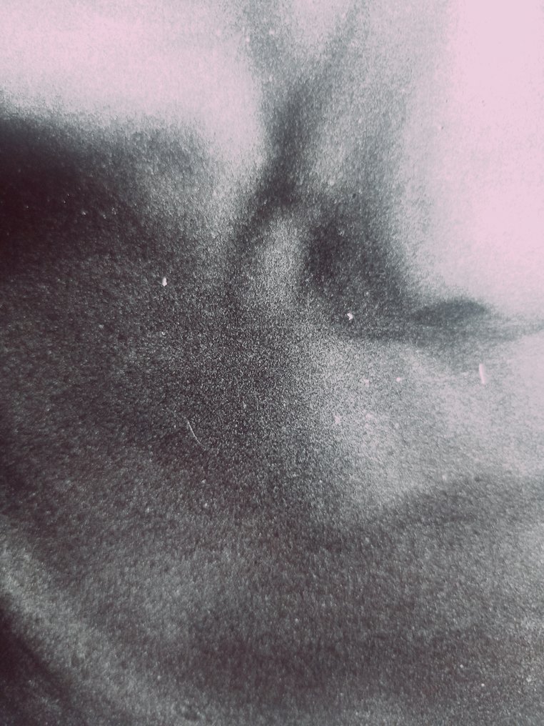 Mario Giacomelli (1925–2000) - Fiorella il giorno della Comunione #4.3