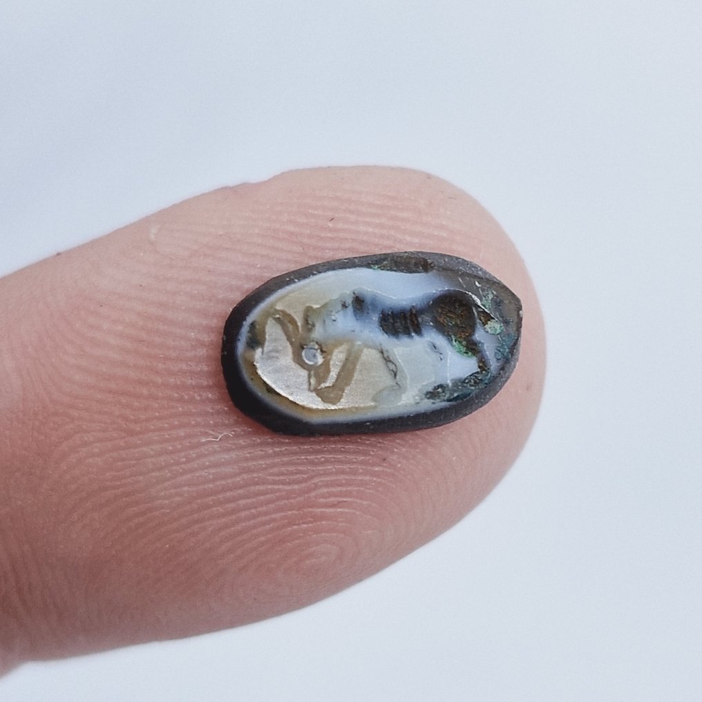 巴克特里亚 天然带状玛瑙 雕刻瞪羚珠护身符凸圆形 - 12 mm #1.1