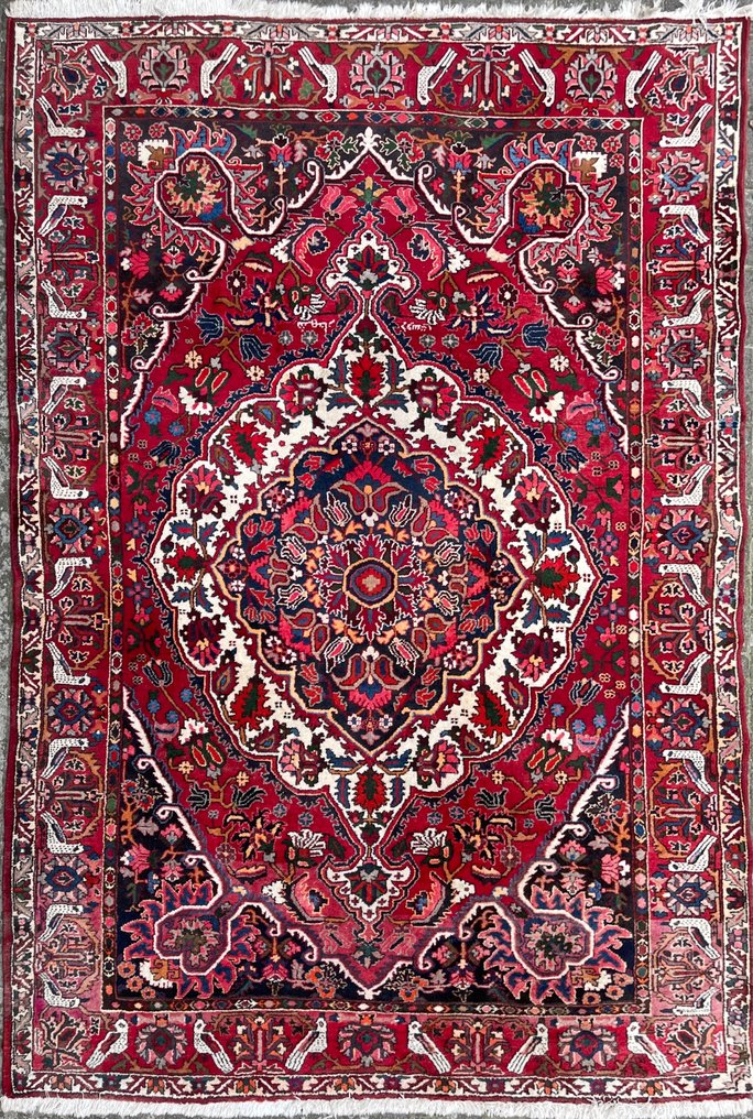 Bachtiar - Carpet - 296 cm - 222 cm #1.1