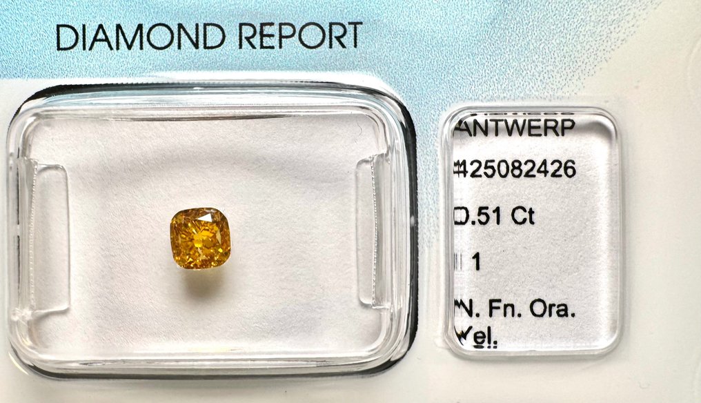 1 pcs Diamante  (Naturale)  - 0.51 ct - Cuscino - I1 - International Gemological Institute (IGI) #2.2
