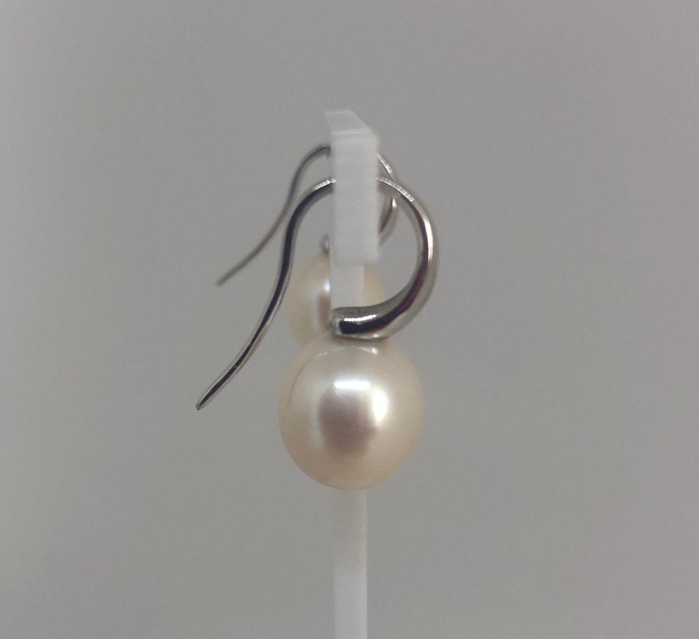 耳环 白金 18K - 淡水珍珠  #1.1