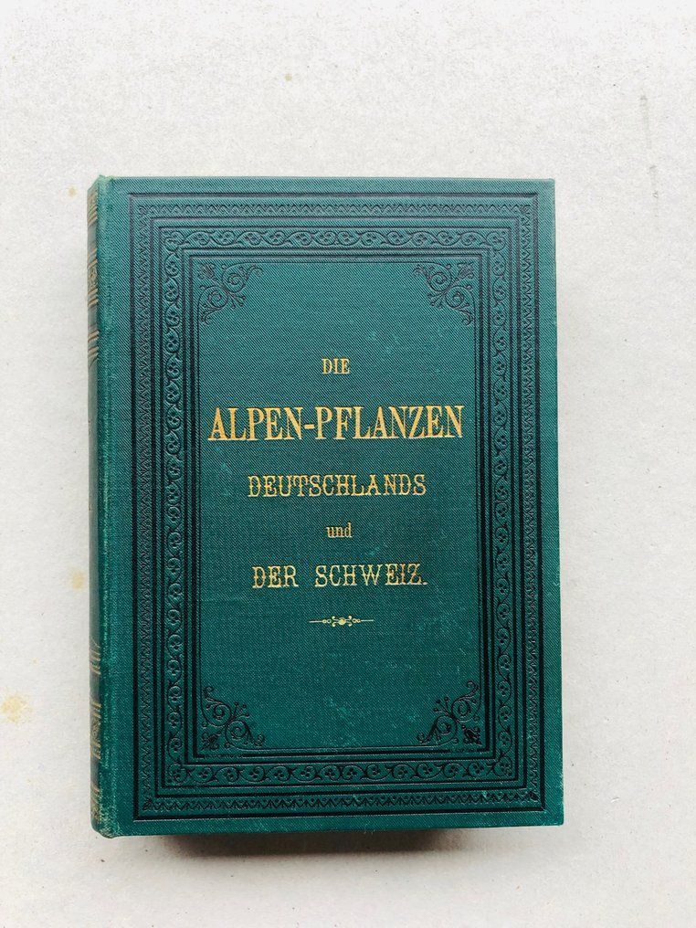 J.C. Weber - Die Alpen-Pflanzen Deutschlands und der Schweiz - 1880 #2.1