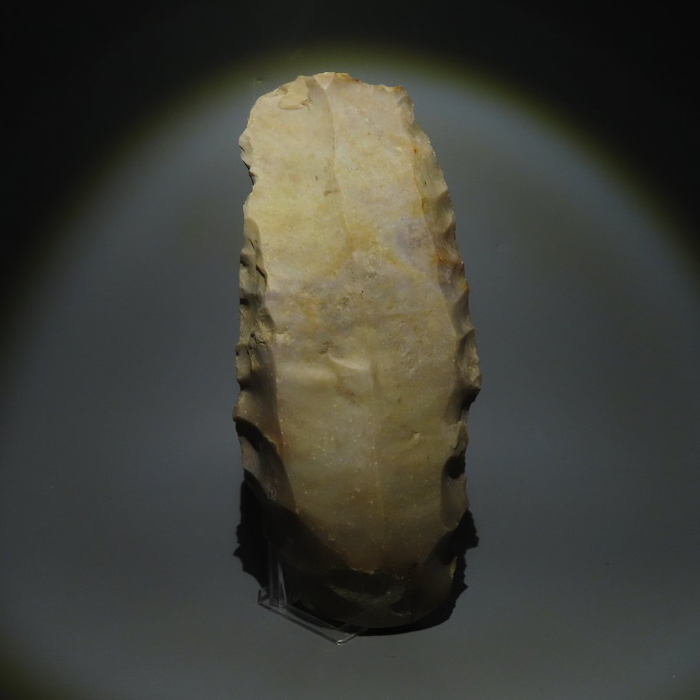Néolithique Pierre Noyau "livres de beurre". 3000 - 2400 avant JC. 31,5 cm de longueur. #1.1