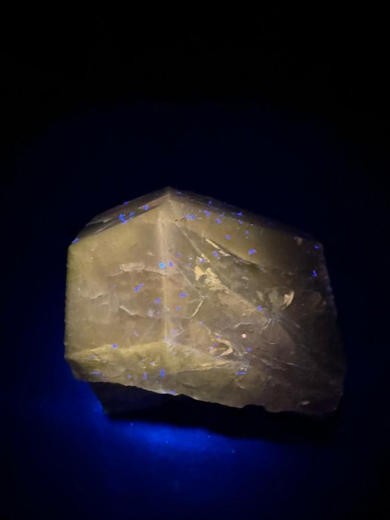 Full Terminated Κορυφαίας Ποιότητας Gemmy Purple Scapolite Crystal Ataxite - Ύψος: 39 mm - Πλάτος: 25 mm- 182 t - (1) #2.1