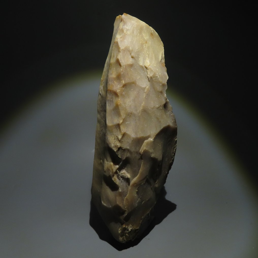 Neolítico Piedra Núcleo "libros de beurre". 3000 - 2400 a.C. 31,5 cm de largo. #1.2