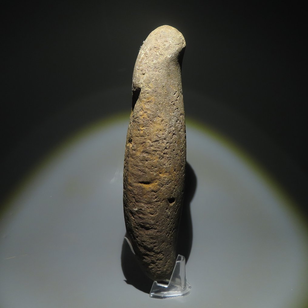 Neolithischen Stein Werkzeug. 3000-1500 v. Chr. 25,8 cm L.  (Ohne Mindestpreis) #2.1