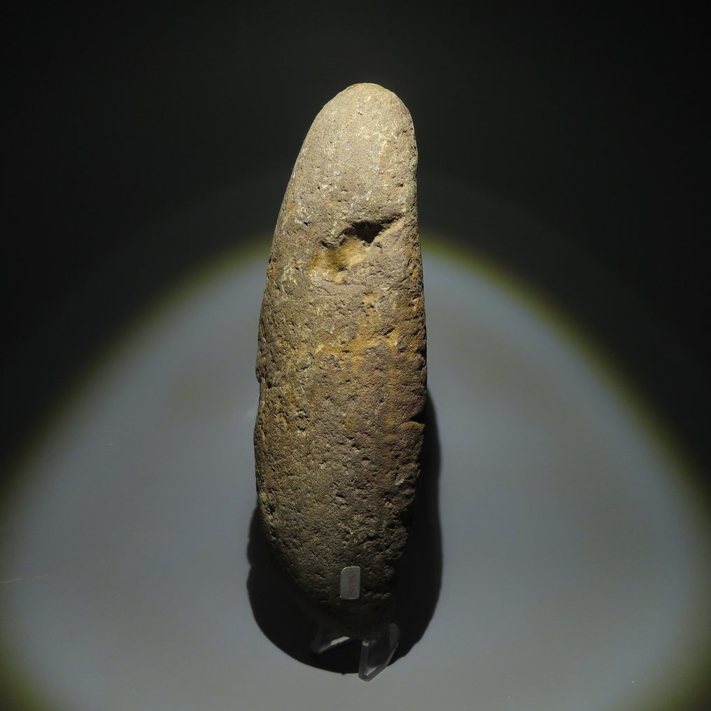 Neolithischen Stein Werkzeug. 3000-1500 v. Chr. 25,8 cm L.  (Ohne Mindestpreis) #1.2