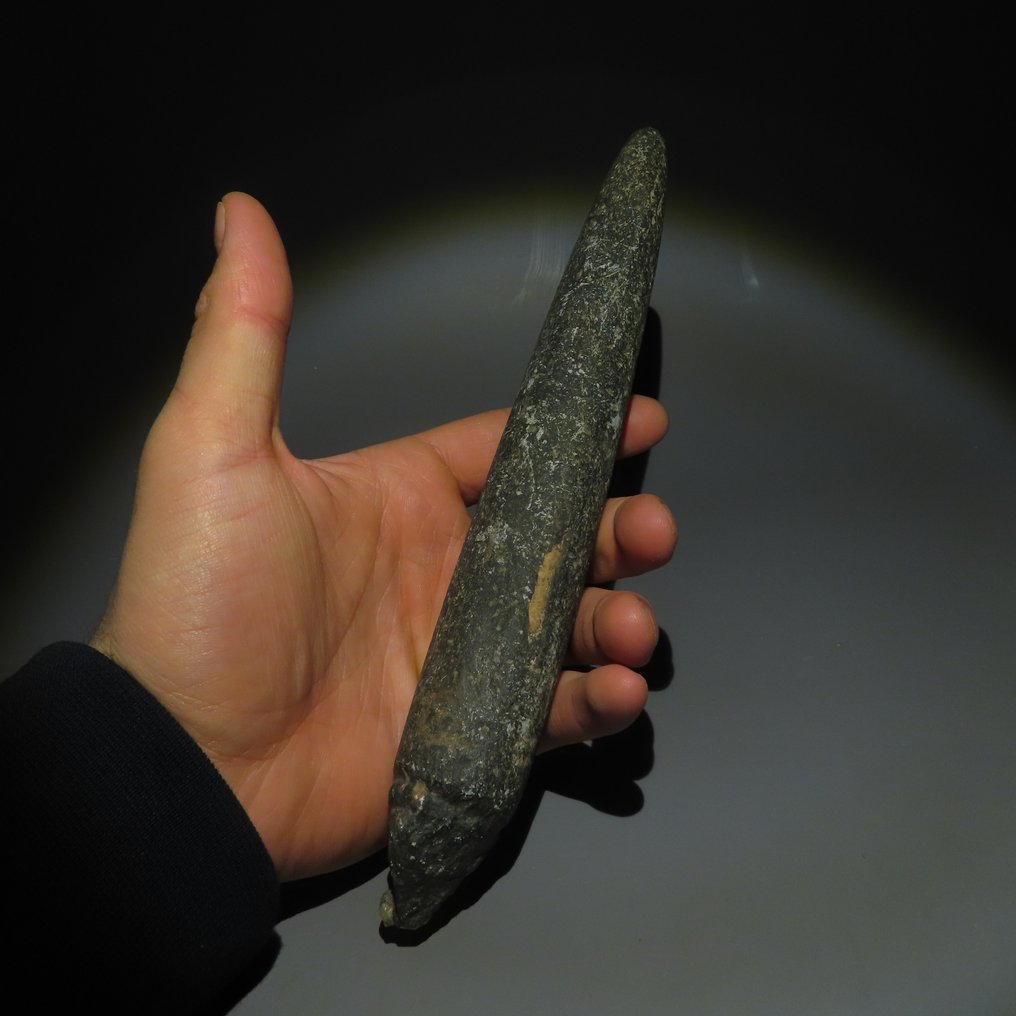 Neolittisk Stein Verktøy. 3000-1500 f.Kr. 24,5 cm L.  (Ingen reservasjonspris) #2.1