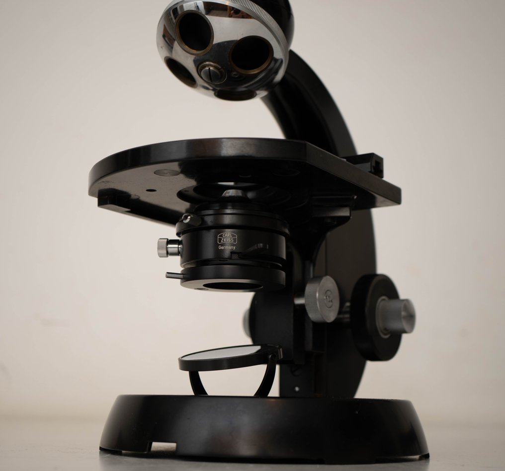 Jednookularowy mikroskop złożony - Standard 2080508 - 1950-1960 - Niemcy - Carl Zeiss #3.2