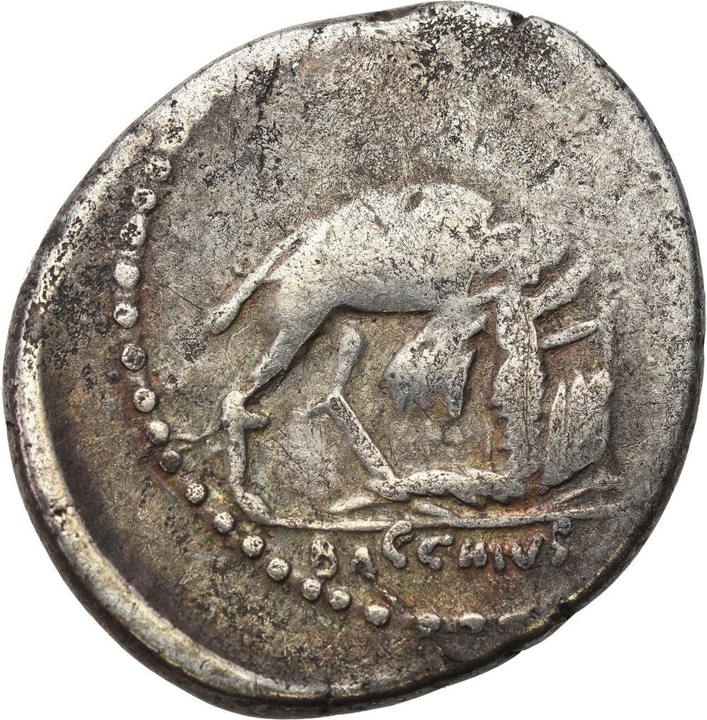 Rooman tasavalta. A. Plautius, 55 BC. Denarius Rare -  BACCHIVS IVDAEVS #1.2
