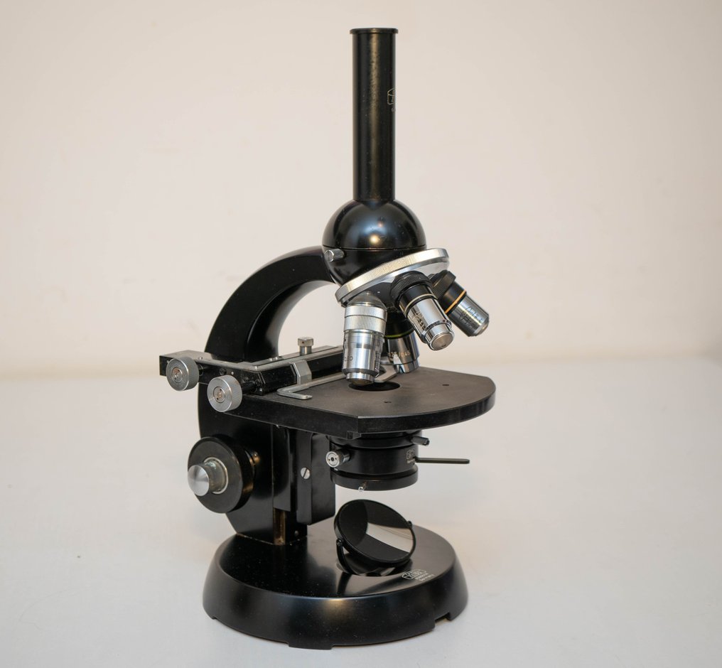 Jednookularowy mikroskop złożony - Standard 2080508 - 1950-1960 - Niemcy - Carl Zeiss #3.1