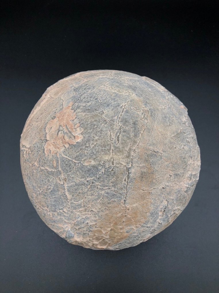 恐龍 - Fossil matrix - BIG egg fossil - 16 cm - 16 cm #2.1