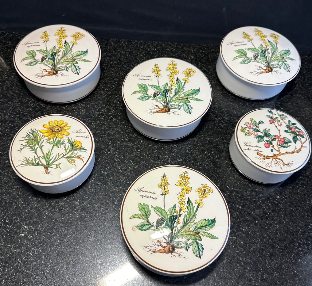 Cutie Bijuterii (6) - botanica - vitro porcelian #1.1