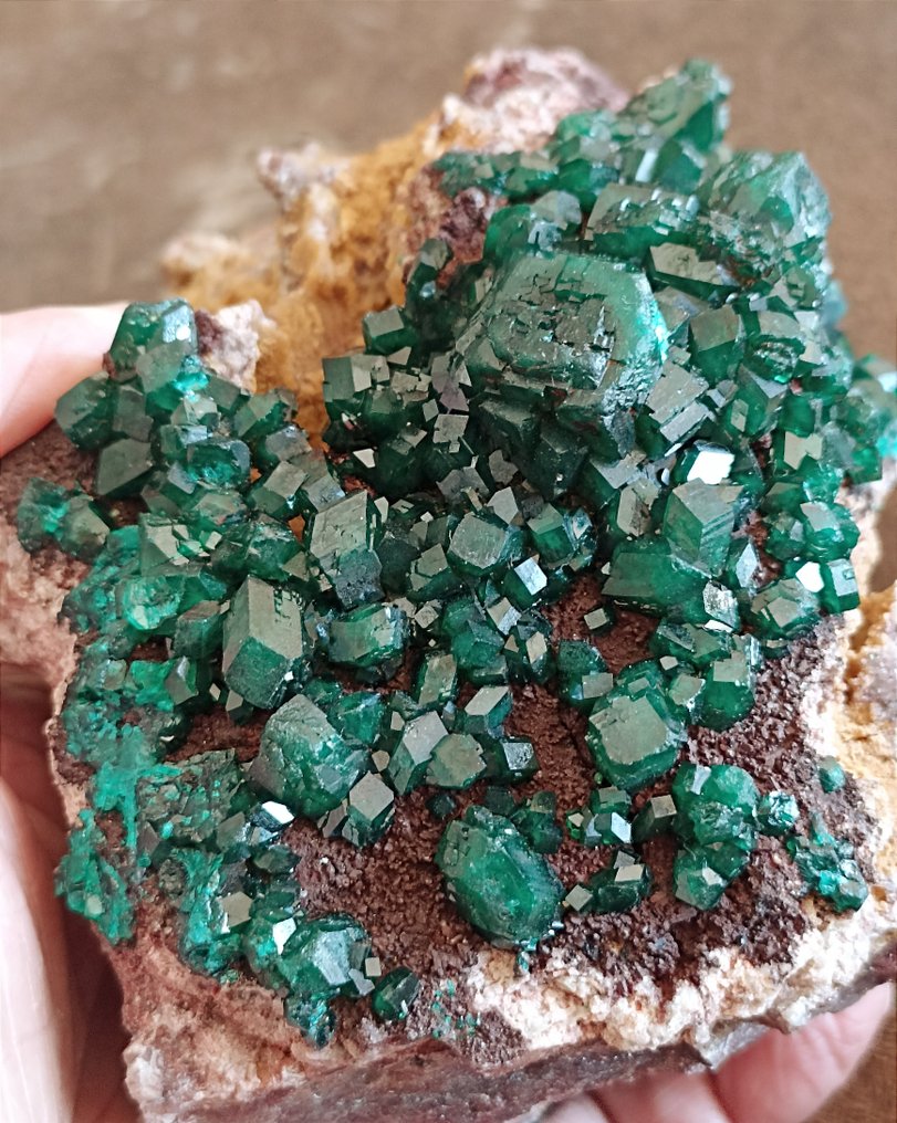 巨大的 DIOPTASE XXL，翠绿色， 华丽闪亮的水晶，其中一颗2.5厘米 - 高度: 130 mm - 宽度: 108 mm- 1178 g - (1) #2.1