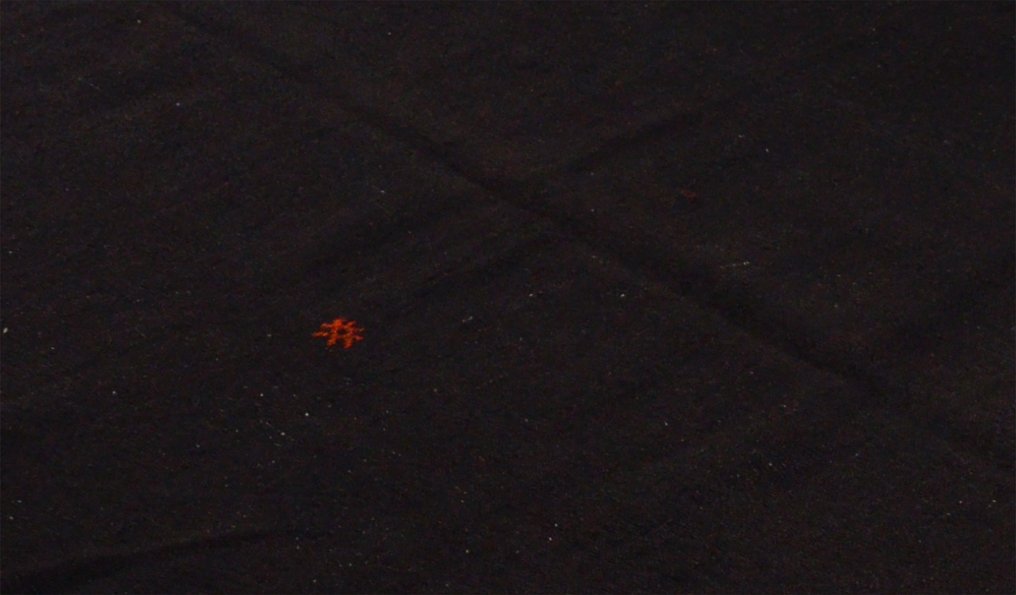 Usak - 凯利姆平织地毯 - 274 cm - 158 cm #3.1