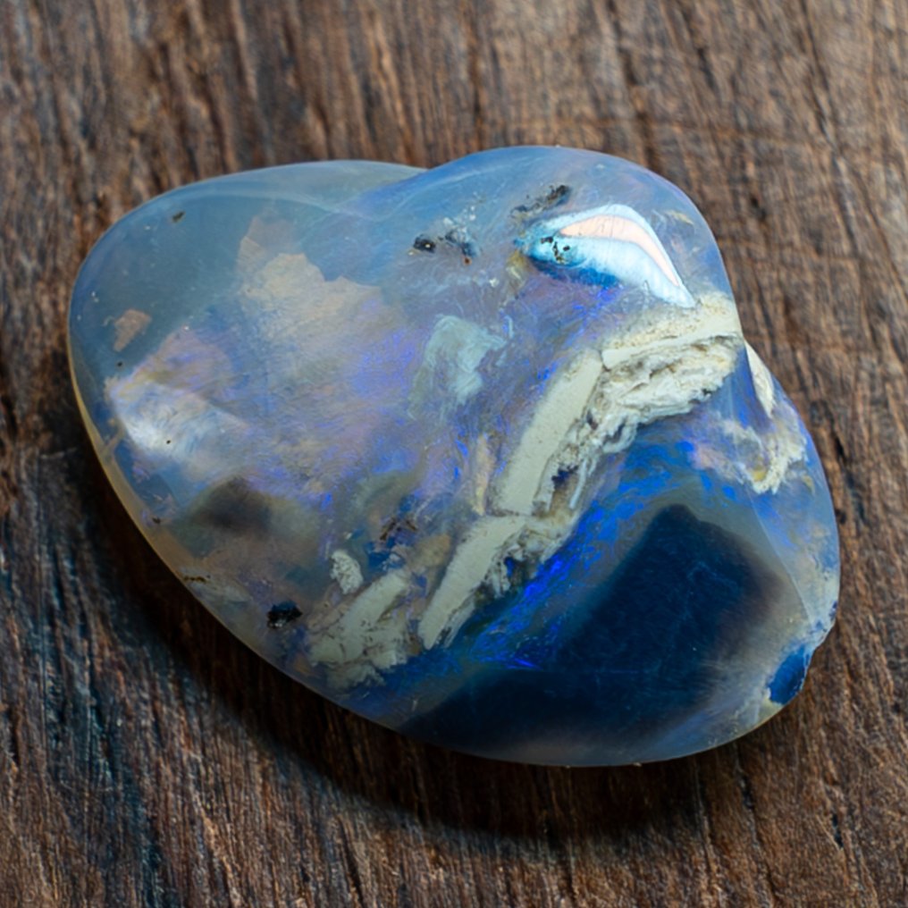Raro fossile di opale di conchiglia australiano naturale A++ 7,9 carati- 1.58 g #2.1