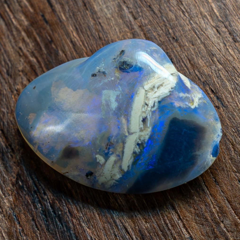 Raro fossile di opale di conchiglia australiano naturale A++ 7,9 carati- 1.58 g #1.2