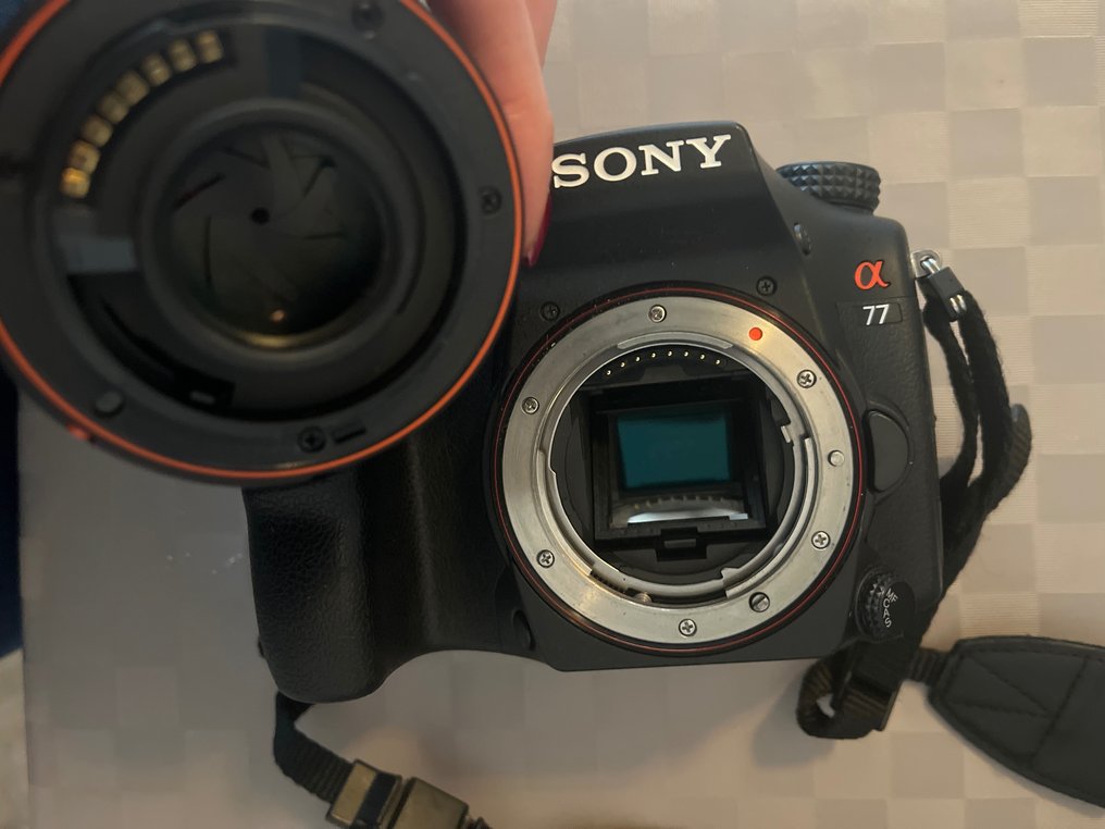 Sony Alpha 77 + DT 50mm F1.8 Câmera SLR digital (DSLR) #3.3