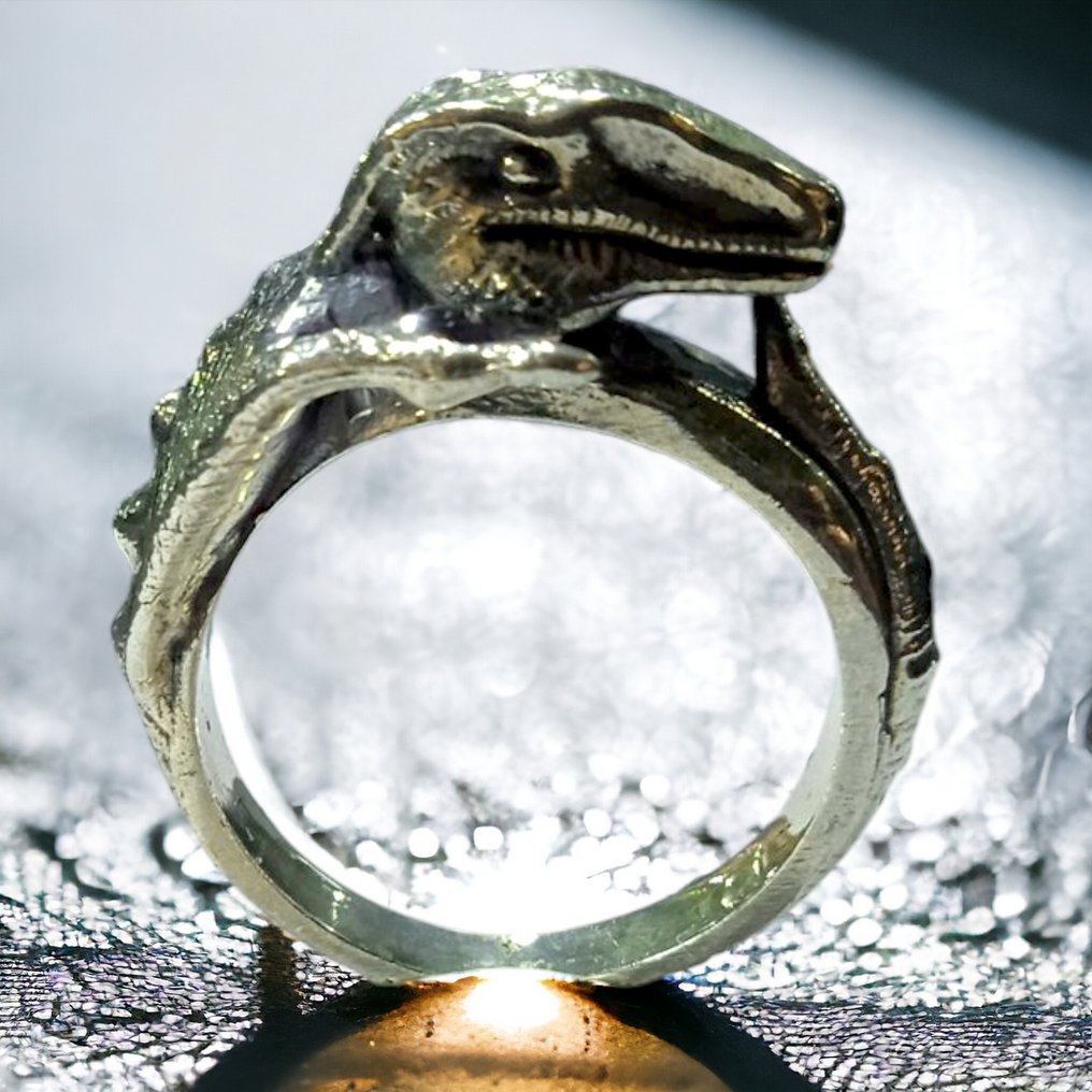 handmade silver ring  - Diorama #1.1