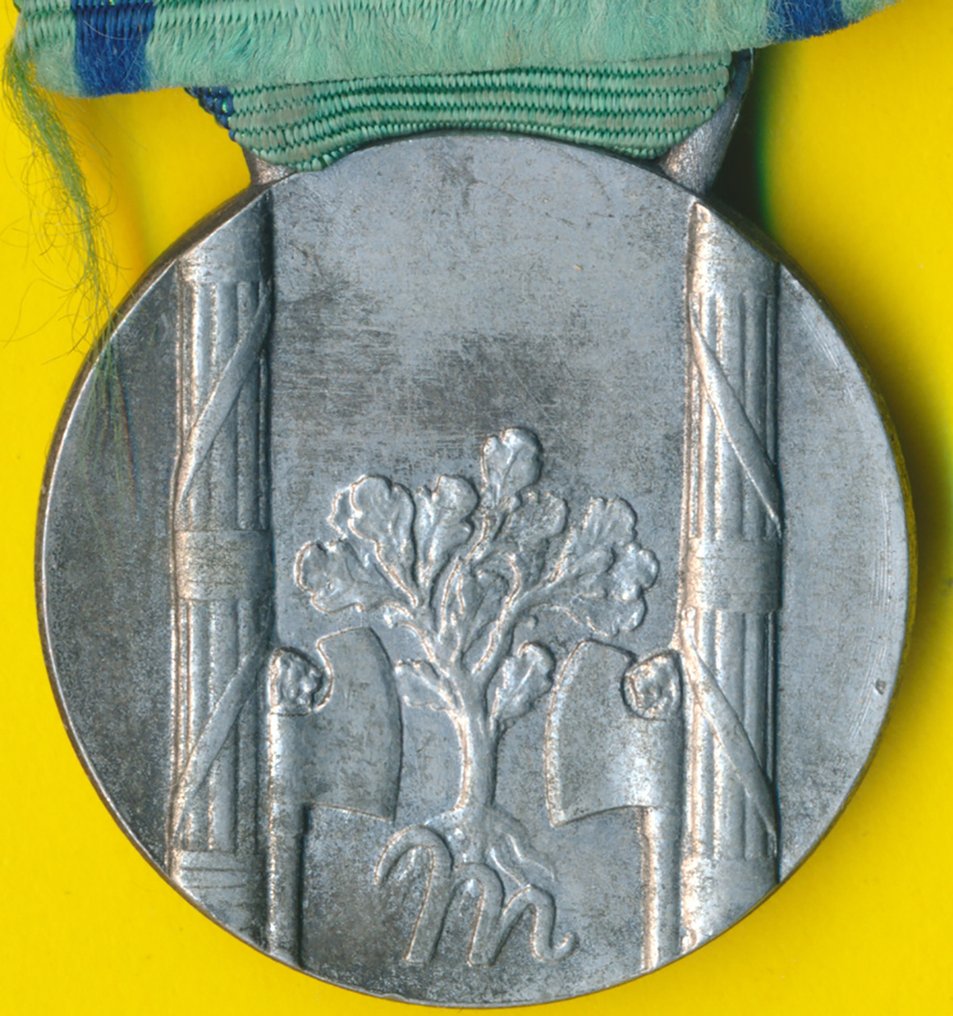 Itália - Medalha - Medaglia famiglie numerose 8 figli #2.3