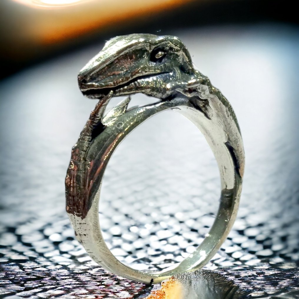 handmade silver ring  - Diorama #1.2