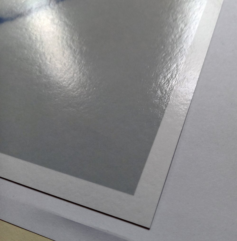 Bernd Lieven - The rise and fall of Waterlilies VII #4.3