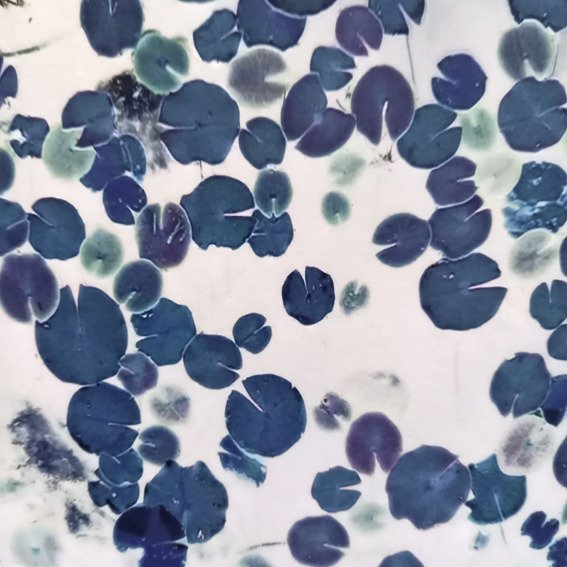 Bernd Lieven - The rise and fall of Waterlilies VII #3.2