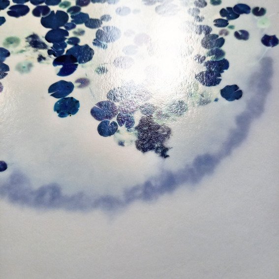 Bernd Lieven - The rise and fall of Waterlilies VII #1.0