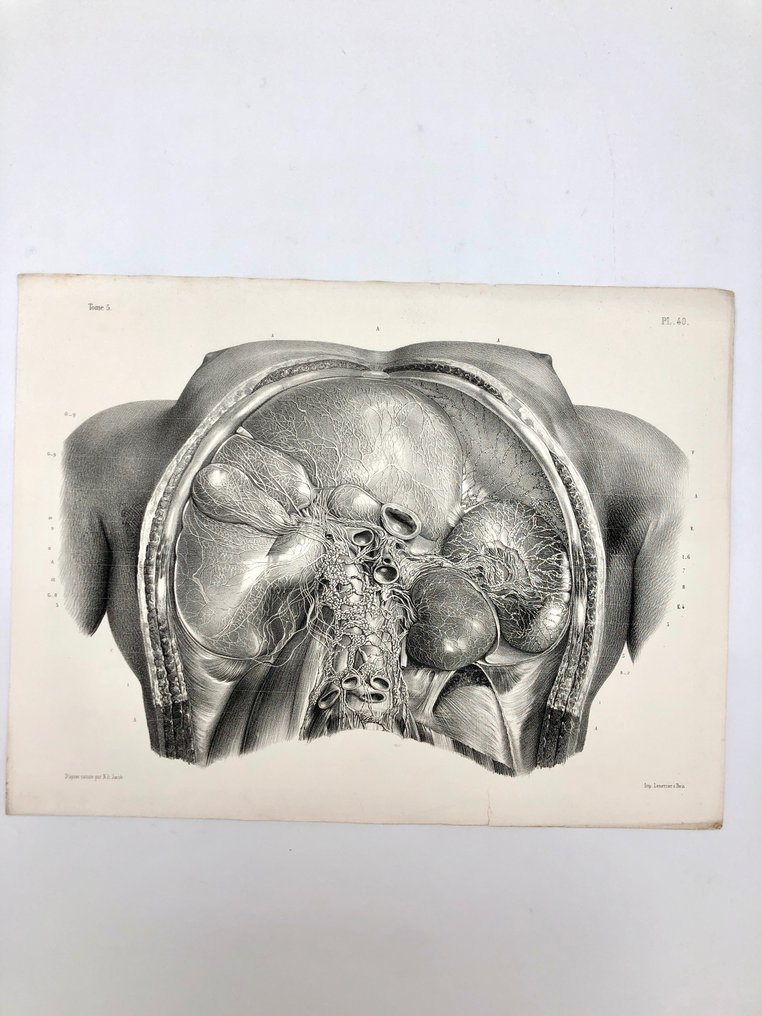 Διδακτικό υλικό - Nicolas-Henri Jacob & Jean Baptiste Marc Bourgery - traité d'anatomie de l'homme 1881 - Χαρτί - 1850-1900 #1.1