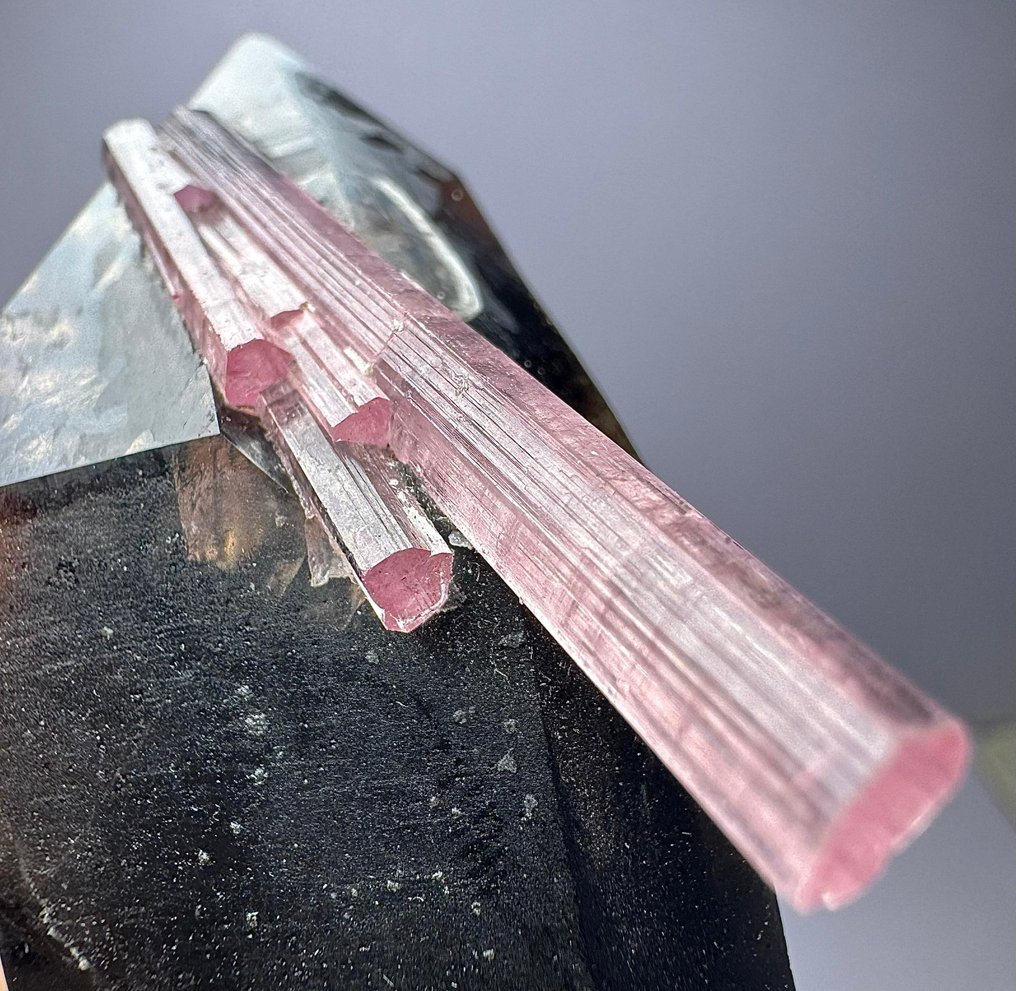 Fullt avslutad extraodinärt sällsynt !!! Topp rosa turmalinkristaller på kvarts kristall på matrisen - Höjd: 82 mm - Bredd: 26 mm- 68 g - (1) #1.1