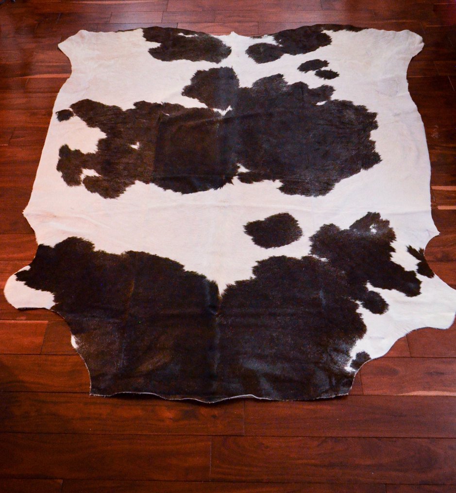 Piel de vaca Nguni africana - Cuernos - Bos taurus - 195 cm - 204 cm - 1 cm- Especie no CITES #1.1