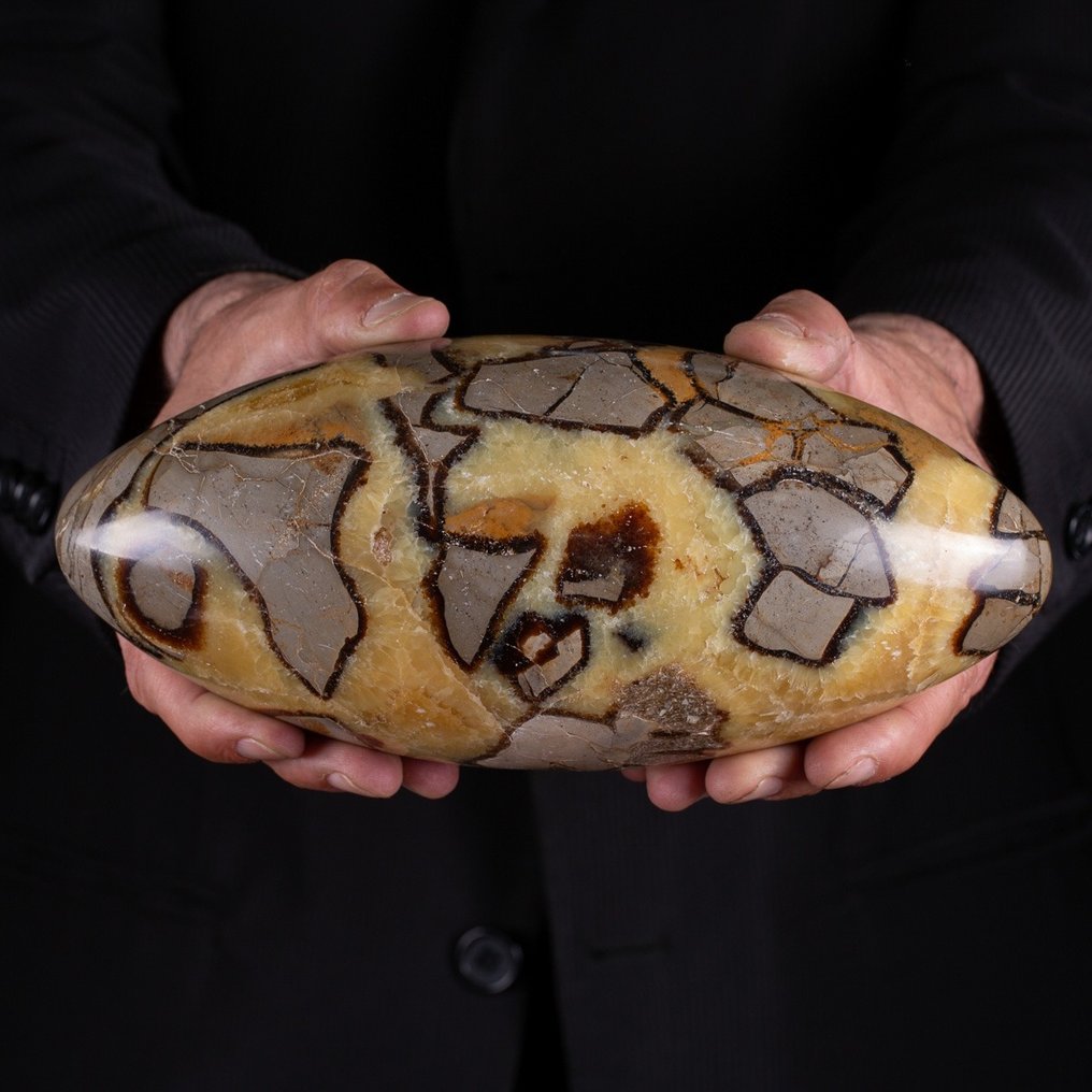 Shiva Lingam of Septaria: Inner Alchemy for Transformation - Height: 230 mm - Width: 100 mm- 3119 g #1.0