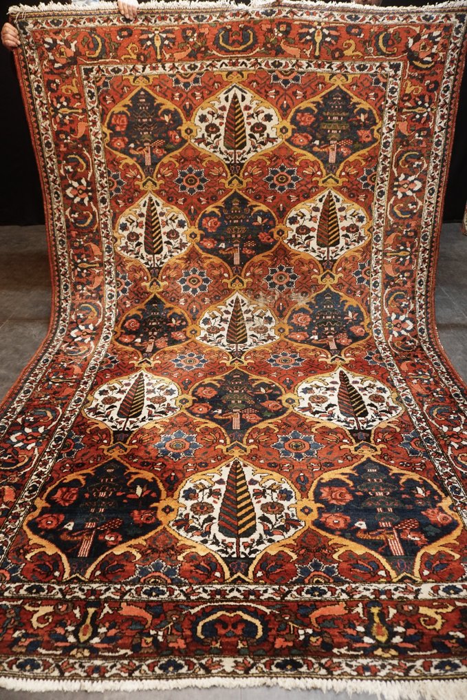 波斯巴赫迪亚古董 - 地毯 - 313 cm - 205 cm #1.1