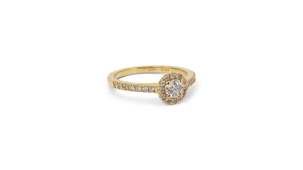 Ring - 14 karaat Geel goud -  1.00 tw. Diamant  (Natuurlijk) - Diamant  #2.2
