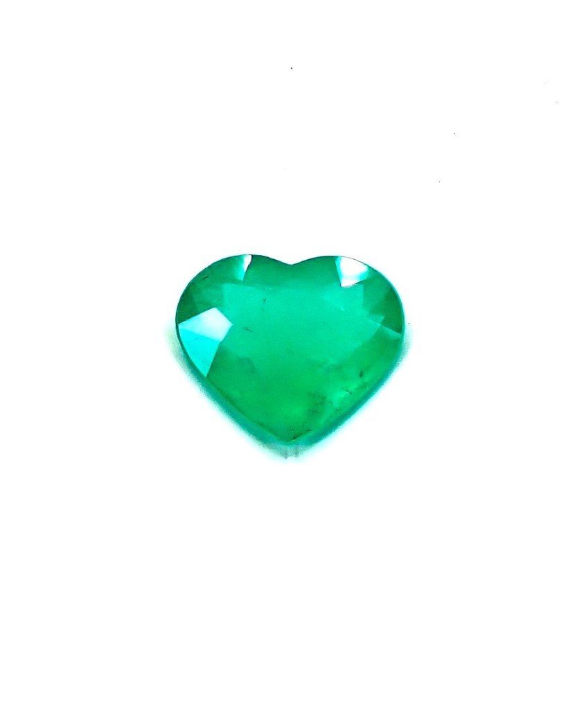 Emerald  - 6.85 ct - NEL (Leiden) #2.1