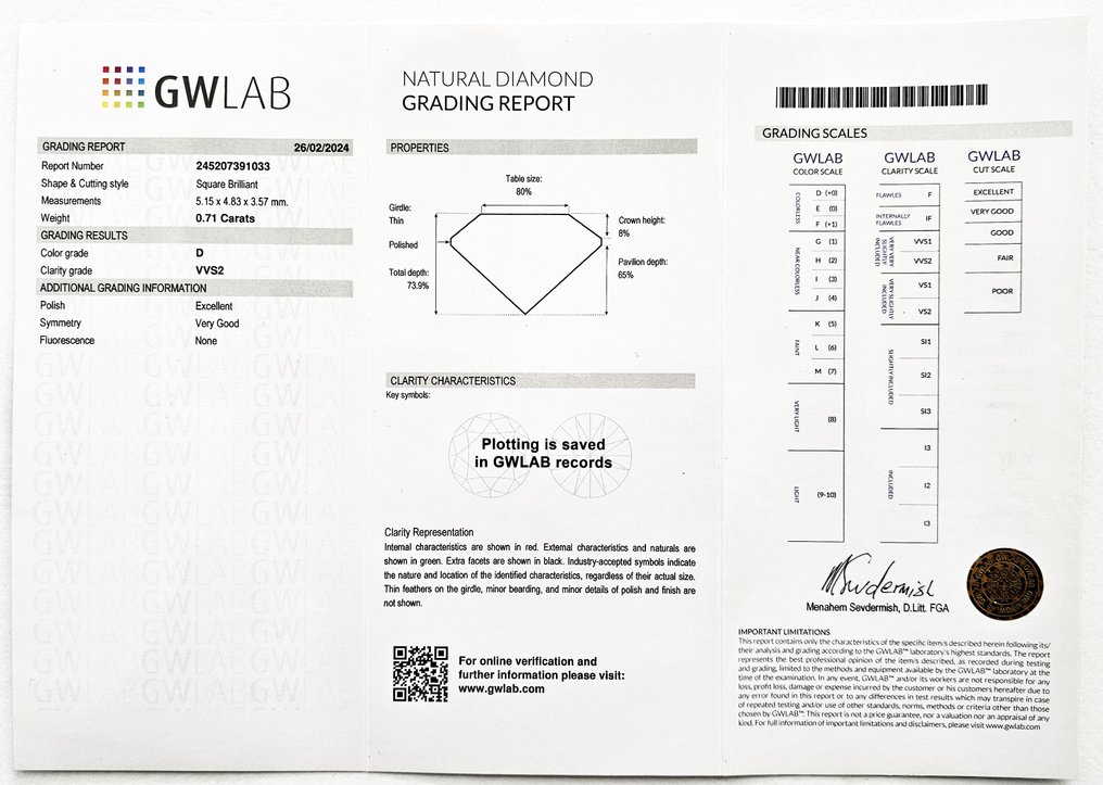 1 pcs Diamante  (Natural)  - 0.71 ct - Cuadrado - D (incoloro) - VVS2 - Gemewizard Gemological Laboratory (GWLab) #2.1