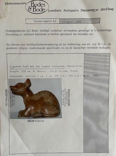 Colima, Mexico, Keramikk Liggende hund figur. 35 cm #3.1