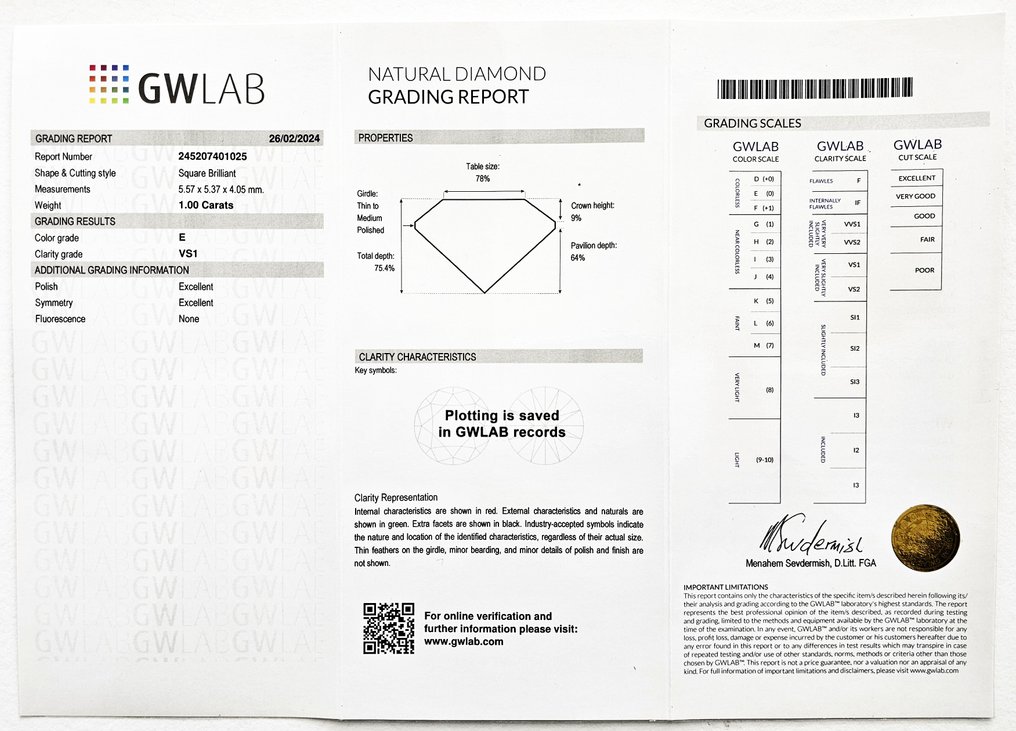 1 pcs Diamant  (Natürlich)  - 1.00 ct - Quadrat - E - VS1 - Gemewizard Gemological Laboratory (GWLab) #2.1