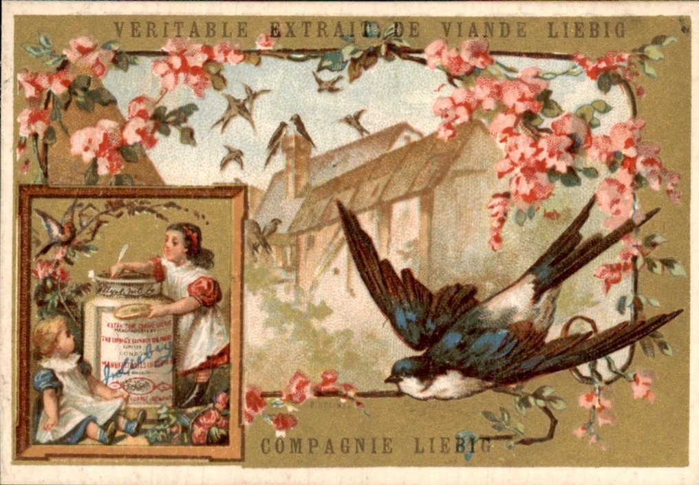 Frankreich - Liebig Chromo S102 – VÖGEL VI (INSET LINKS) – SELTEN - Postkarte (6) - 1876-1876 #1.1