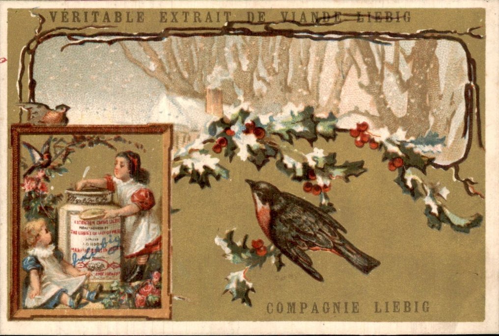 Frankreich - Liebig Chromo S102 – VÖGEL VI (INSET LINKS) – SELTEN - Postkarte (6) - 1876-1876 #2.2