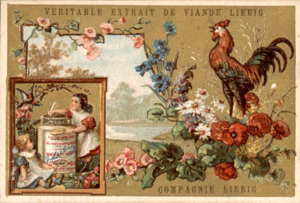 Frankreich - Liebig Chromo S102 – VÖGEL VI (INSET LINKS) – SELTEN - Postkarte (6) - 1876-1876 #3.2