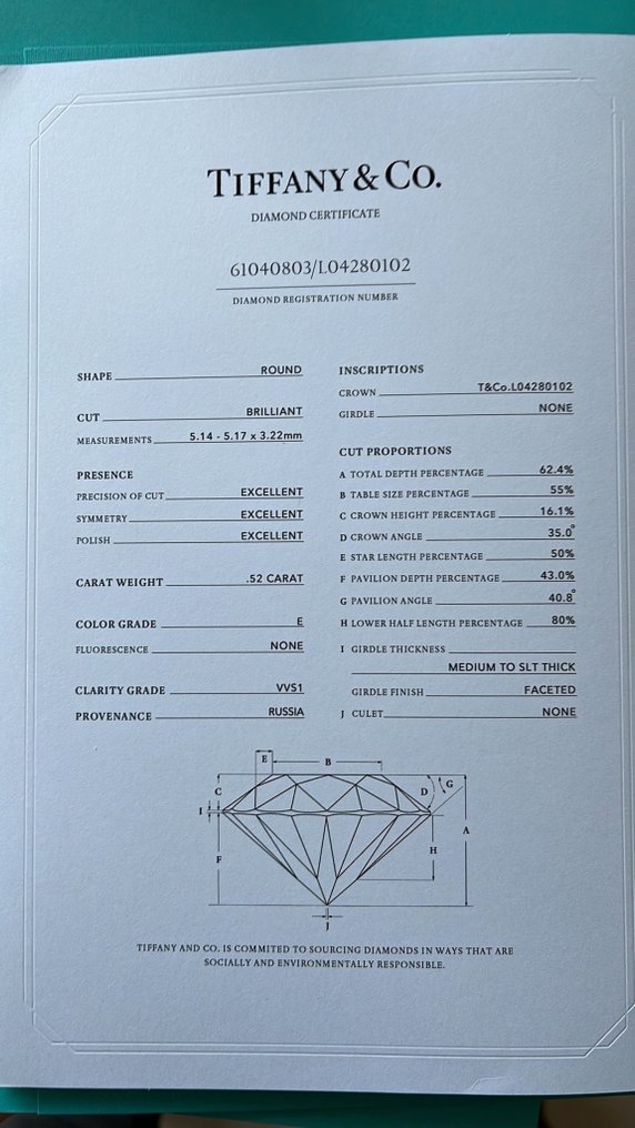 Tiffany & Co. - Ring - Tiffany Ribbon Platinum Diamond  (Natural) - Diamond #2.1