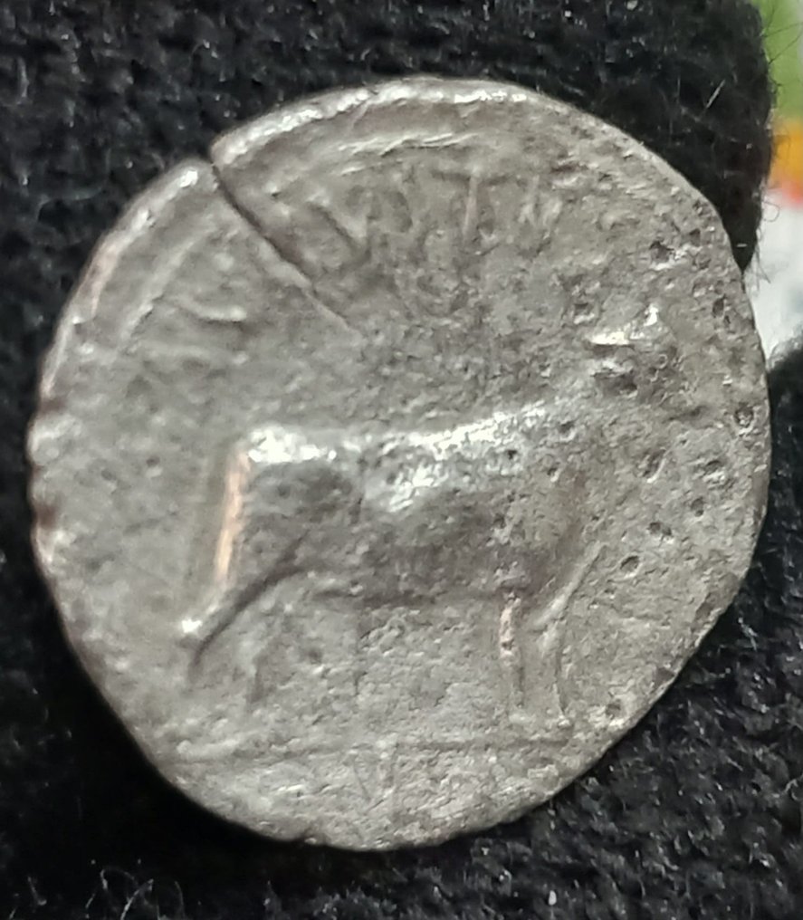 Imperio romano. Augusto (27 a. e. c. - 14 e. c.). Denarius ceca incierta en Asia Menor (¿Samos?) #1.2