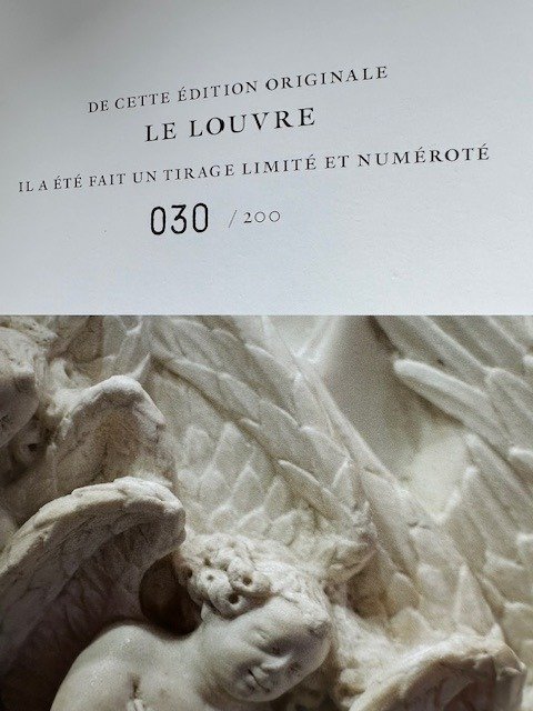Genevieve Bresc-Bautier / Gerard Rondeau - Le Louvre - 2013 #2.2