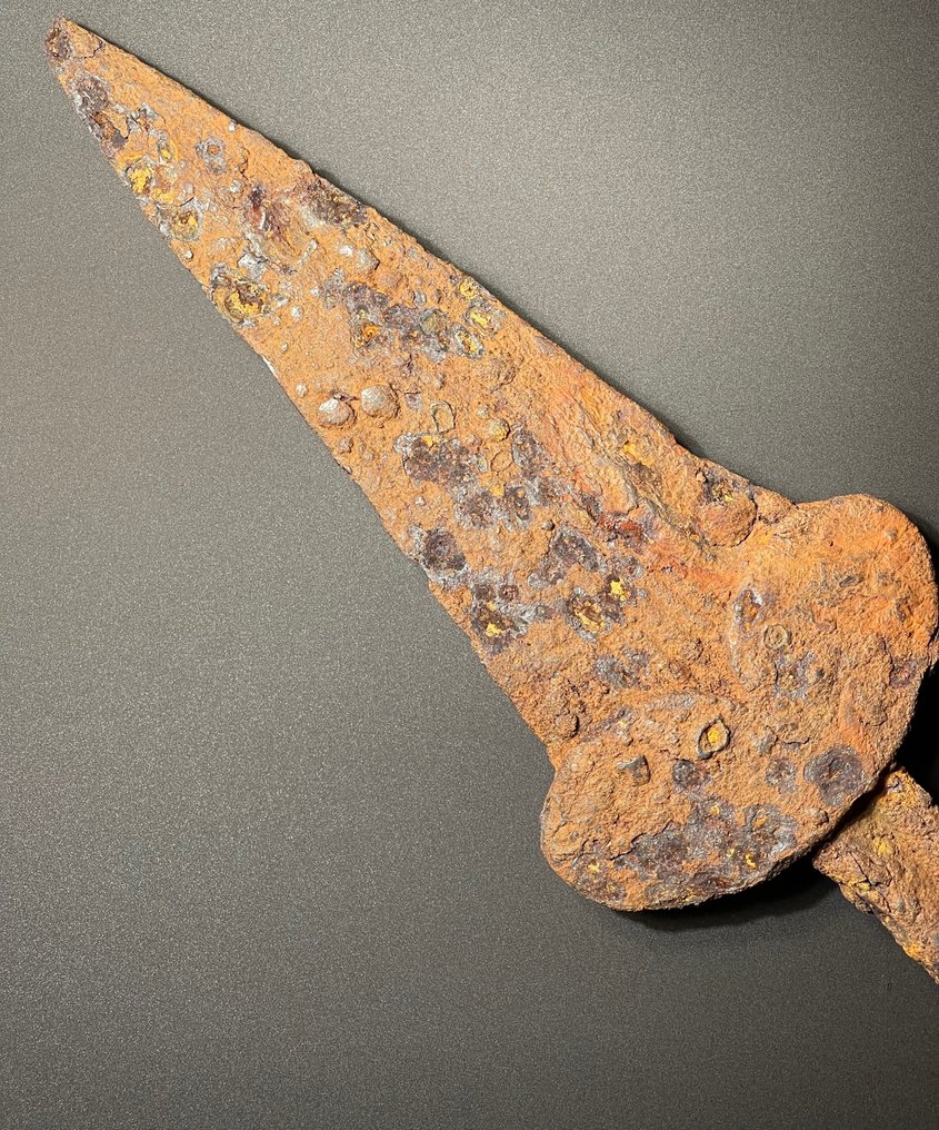 塞西亚 铁 著名的 Akinakes - 古典古代匕首 - 短剑。拥有奥地利出口许可证。 #2.1