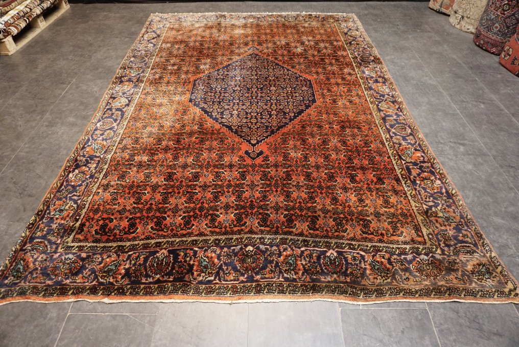 比贾尔 伊朗 - 地毯 - 298 cm - 198 cm #1.1