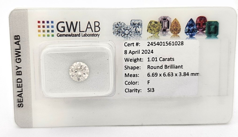 1 pcs Diamant  (Natur)  - 1.01 ct - Rund - F - SI3 - Gemewizard Gemological Laboratory (GWLab) #3.3